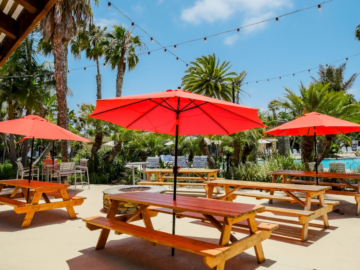 A sunny poolside with red umbrellas, wooden loungers, palm trees, and string lights strung overhead.