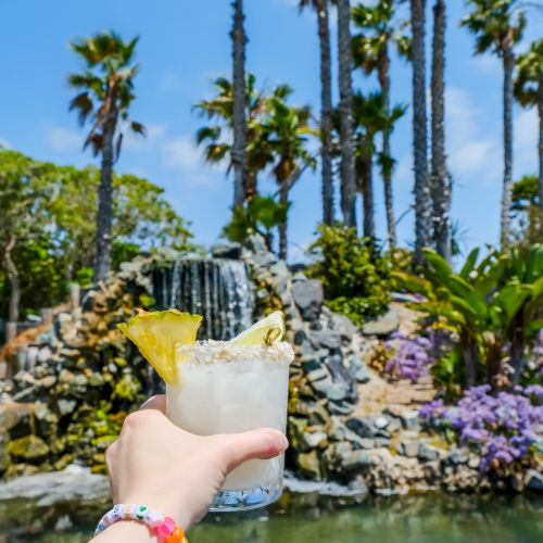 A hand holds a cold cocktail with a lemon wedge while palm trees and a small waterfall flow in a sunny garden behind.