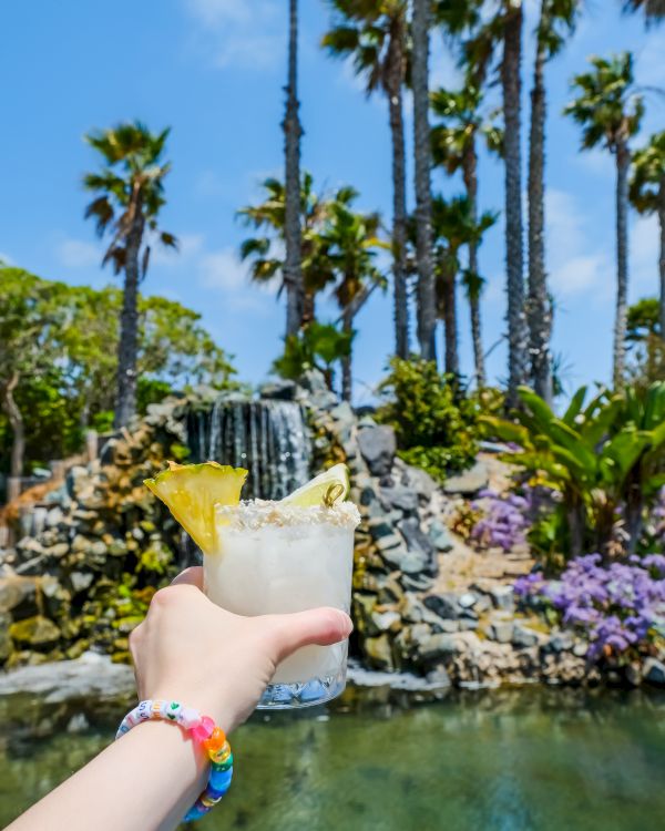 A hand holds a cold cocktail with a lemon wedge while palm trees and a small waterfall flow in a sunny garden behind.