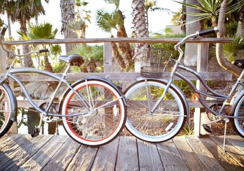 Two silver bicycles with baskets are parked on a wooden platform amid palm trees in bright outdoor sunshine.
