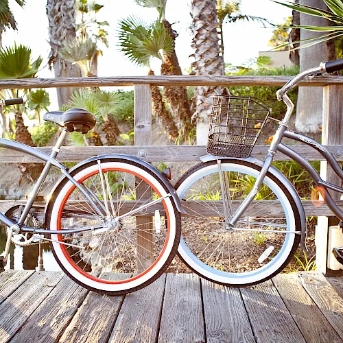 Two silver bicycles with baskets are parked on a wooden platform amid palm trees in bright outdoor sunshine.