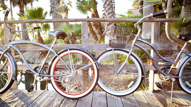 Two silver bicycles with baskets are parked on a wooden platform amid palm trees in bright outdoor sunshine.