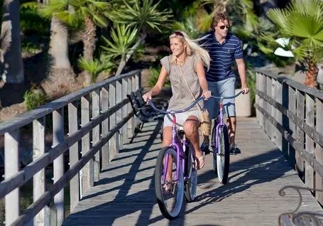 A sunny path in a palm-lined park where two people ride bicycles together on a wooden bridge, with bright greenery all around.