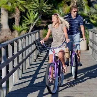 A sunny path in a palm-lined park where two people ride bicycles together on a wooden bridge, with bright greenery all around.