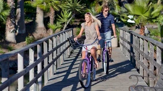 A sunny path in a palm-lined park where two people ride bicycles together on a wooden bridge, with bright greenery all around.