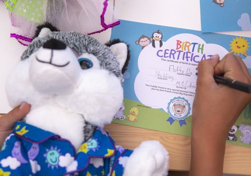 A plush toy sits beside a &ldquo;Birth Certificate&rdquo; kids card as someone writes on it.