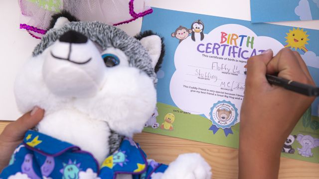 A plush toy sits beside a &ldquo;Birth Certificate&rdquo; kids card as someone writes on it.