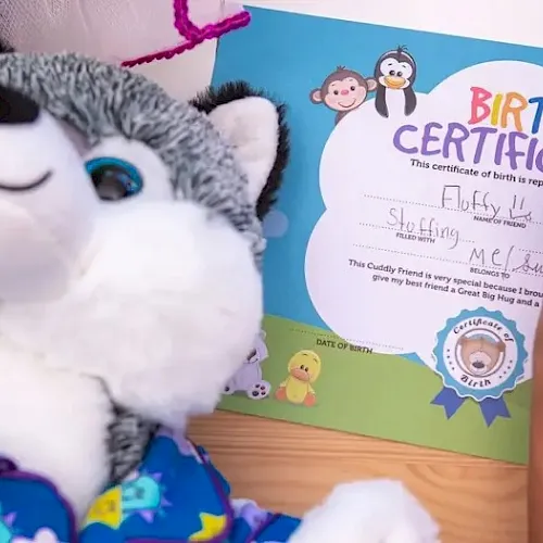 A plush cat toy sits beside a colorful “Birth Certificate” page while someone writes on it.