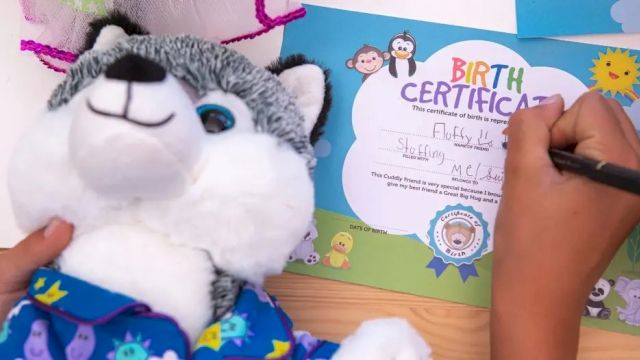 A plush cat toy sits beside a colorful &ldquo;Birth Certificate&rdquo; page while someone writes on it.
