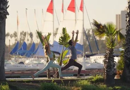 Outdoor exercise session: a group doing yoga stretches in a lawn with palm trees, flags, and buildings in the background.