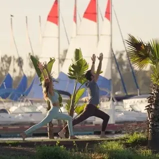 Outdoor exercise session: a group doing yoga stretches in a lawn with palm trees, flags, and buildings in the background.