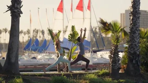 Outdoor exercise session: a group doing yoga stretches in a lawn with palm trees, flags, and buildings in the background.
