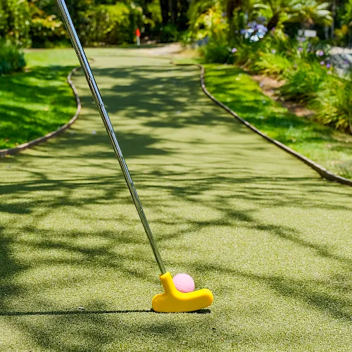 A person’s hand holds a putter as a pink golf ball rests on short grass beside a winding putting green.